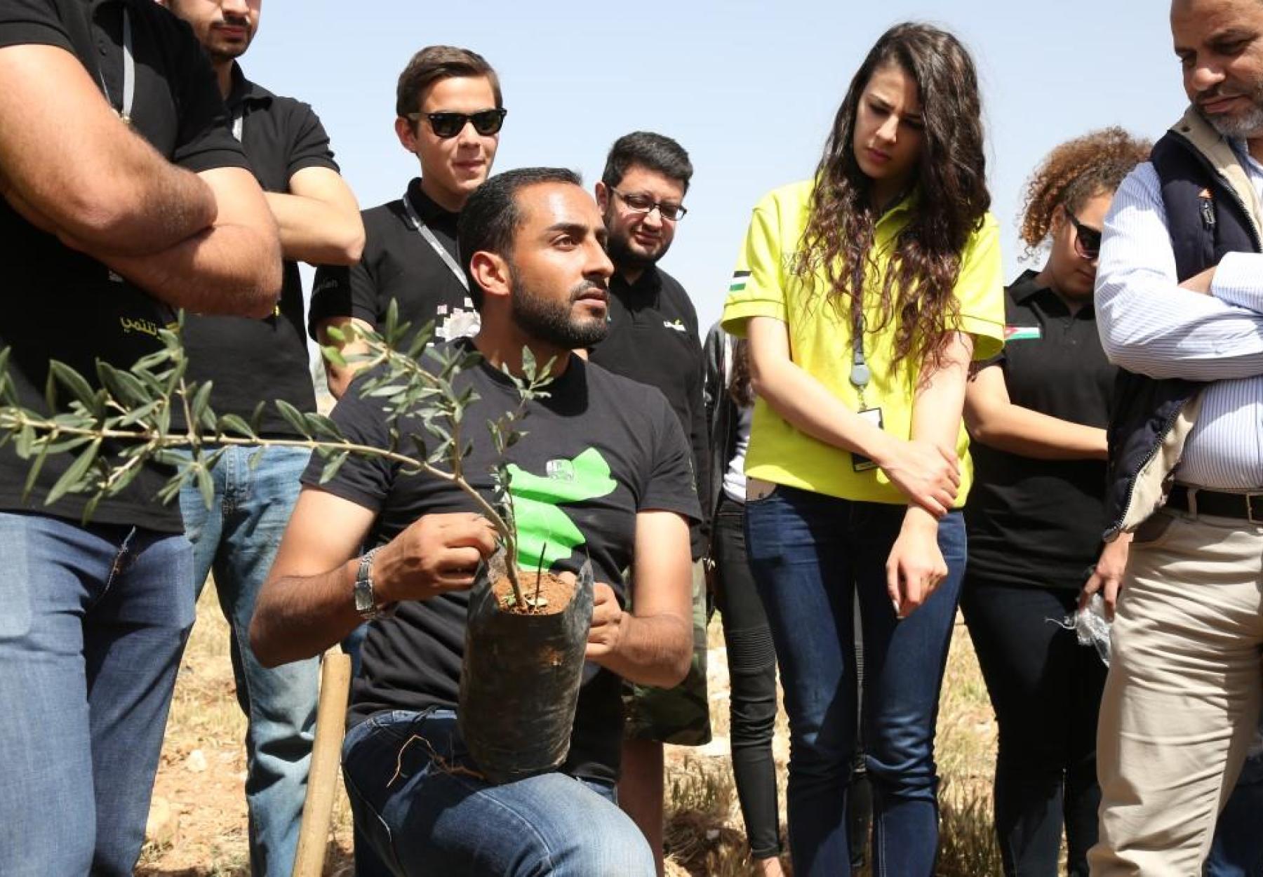 العربية وشركة أمنية يزرعان 1000 شجرة زيتون جديدة في وادي القطار