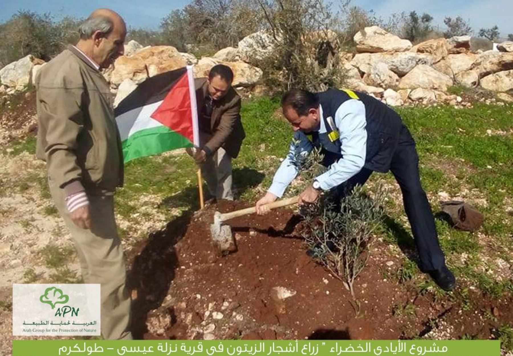 انجازات كبيرة ضمن مشروع "الأيادي الخضراء" في فلسطين