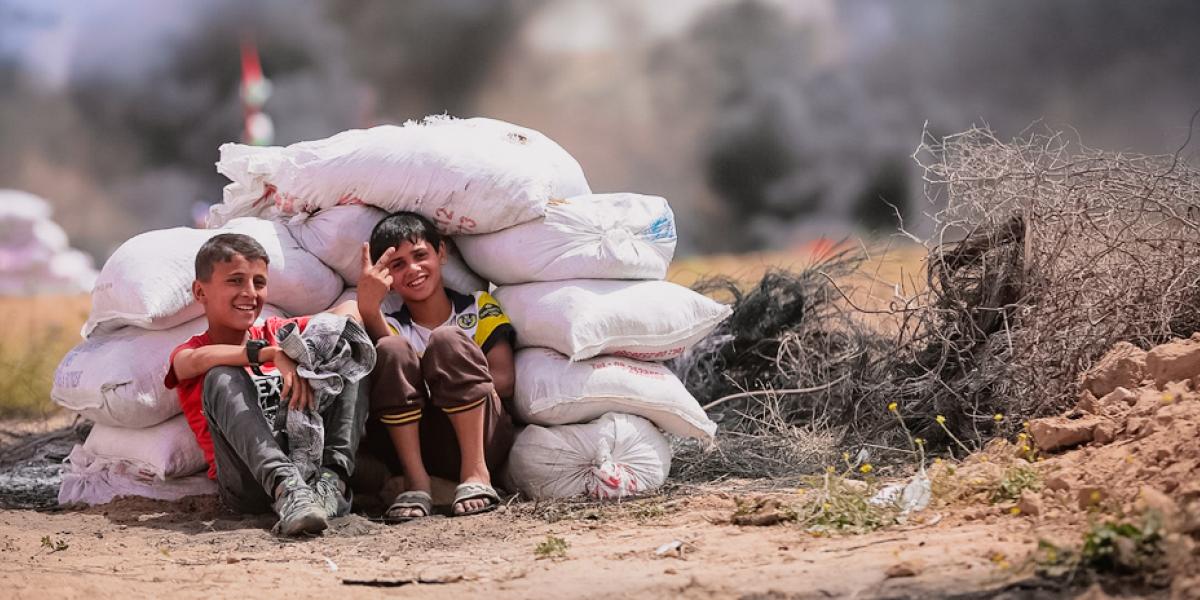 Newsletter (August - October) 2023 | The Arab Group for the Protection of ...