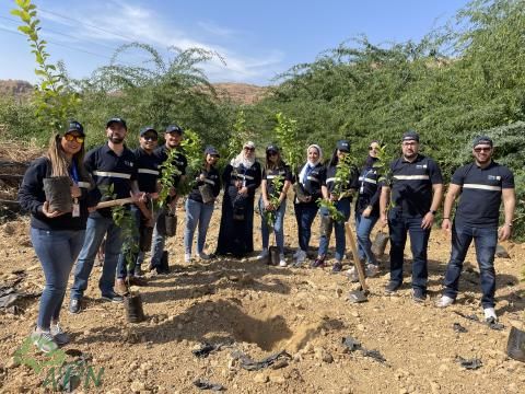 "العربية" و "القدس للتأمين" يزرعون الليمون في الأغوار