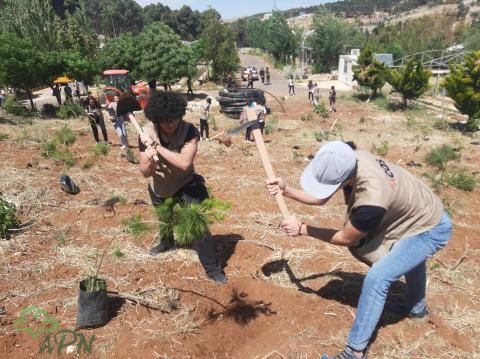 العربية لحماية الطبيعة وأكاديمية عمّان يبعثان الأمل في غمدان من جديد