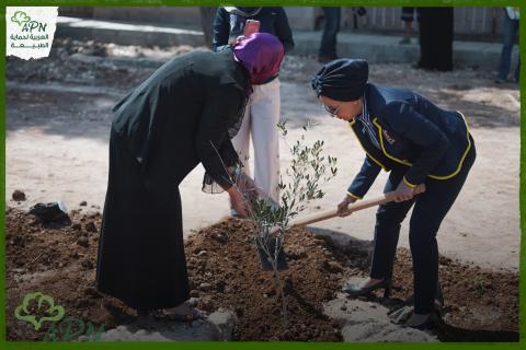 العربية لحماية الطبيعة تزرع شجر زيتون مع مبادرة مدرستي وبرفقة طالبات مدرسة الأميرة بسمة