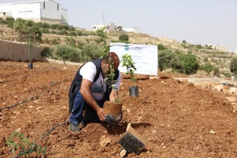 العربية لحماية الطبيعة 