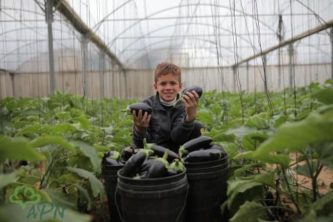 العربية لحماية الطبيعة 