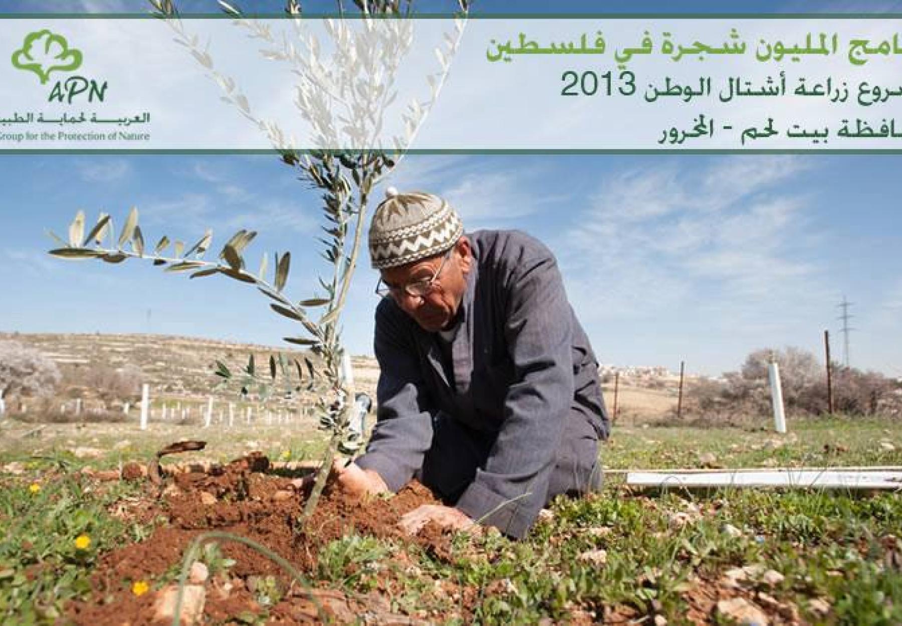 Million Tree Campaign in Palestine