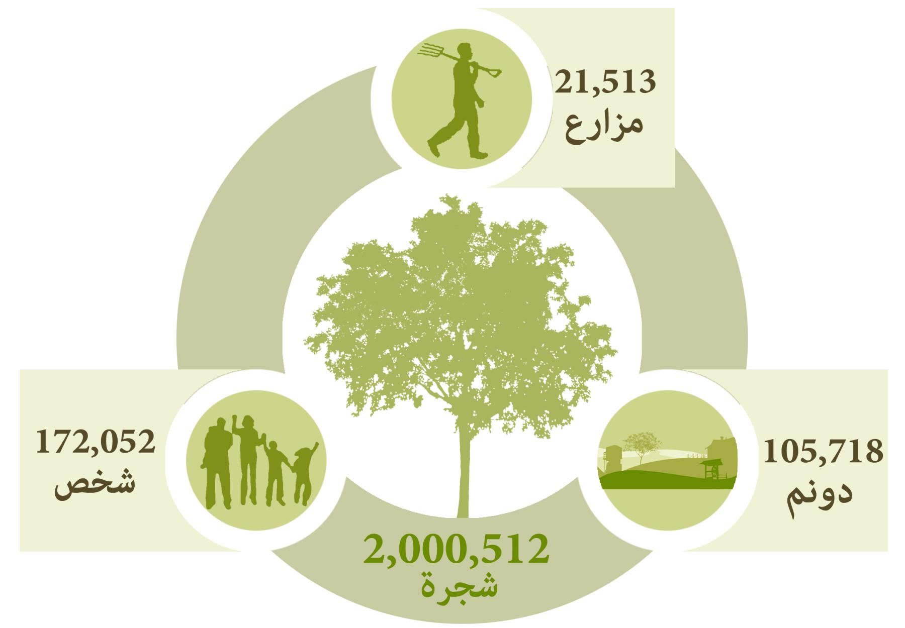 العربية لحماية الطبيعة تعقد مؤتمراً صحفياً لتطلق حملتها الثالثة لزراعة مليون شجرة جديدة في فلسطين
