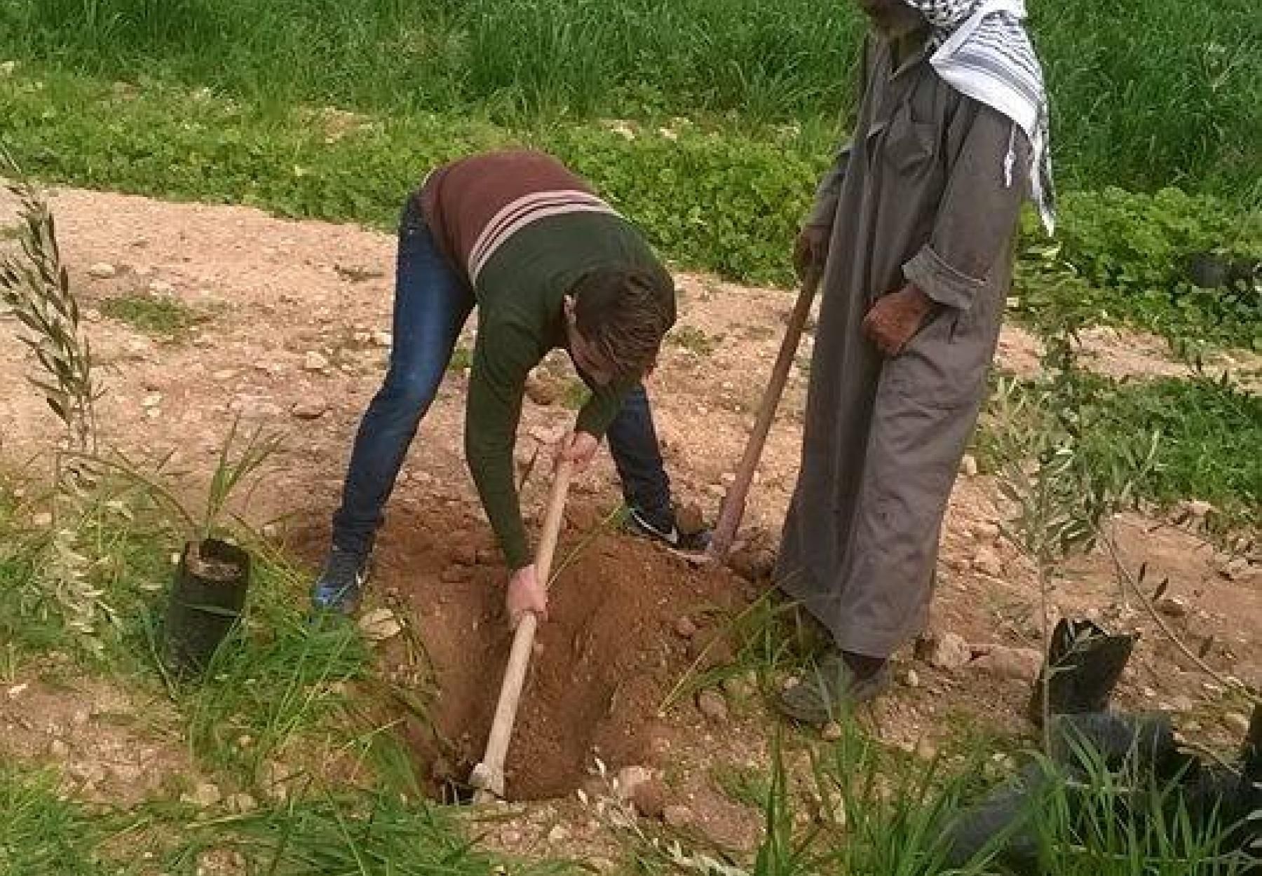 زراعة في عين البيضا وبردلة زراعة في عين البيضا وبردلة