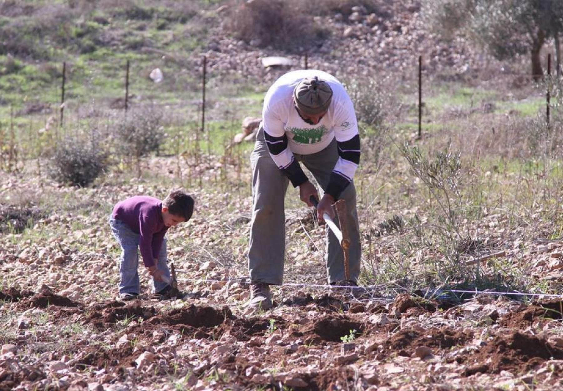 الاستمرار بمشاريع التمكين الإقتصادي لأسر الشهداء في فلسطين