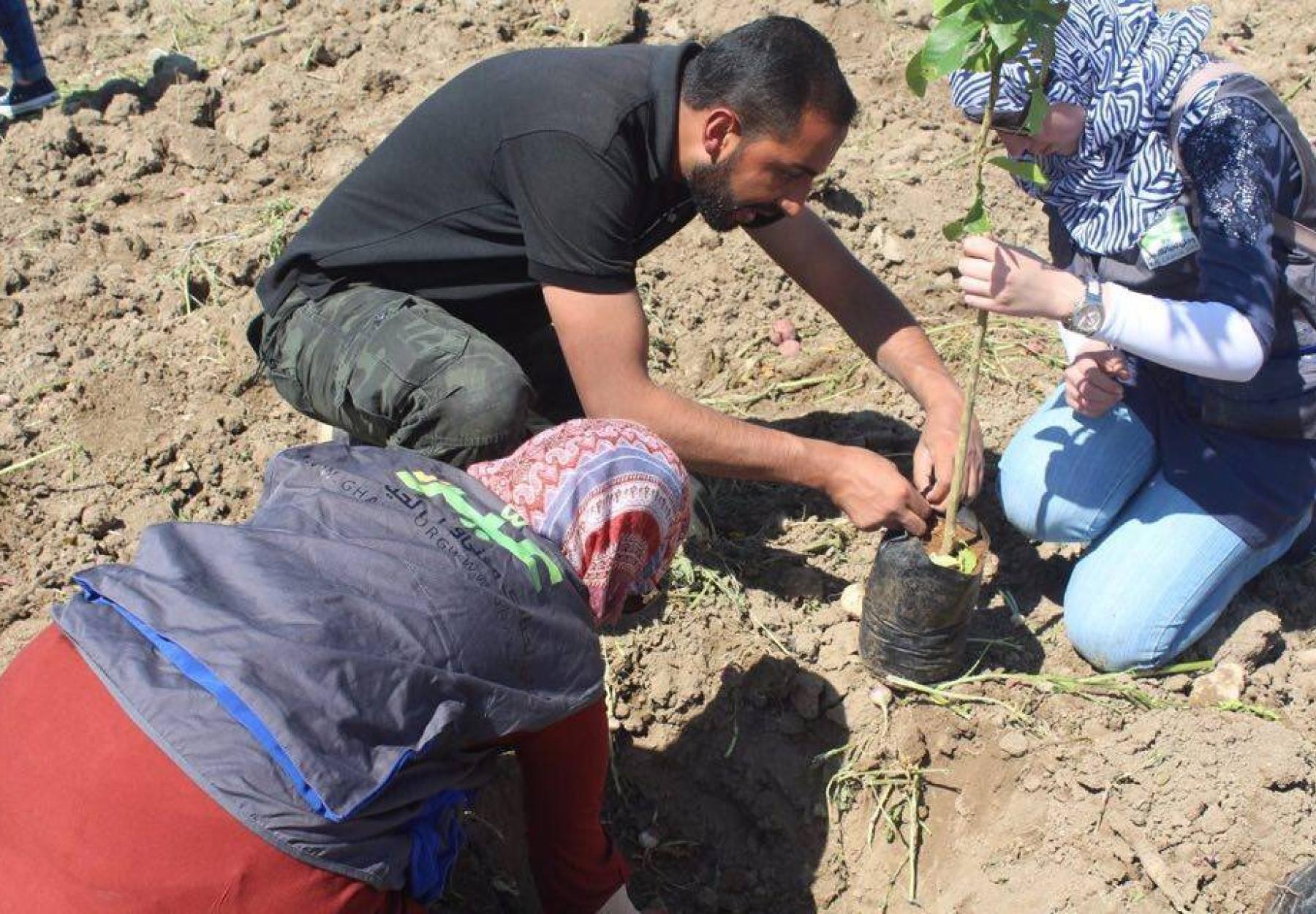 العربية لحماية الطبيعة وبنك الأردن يدعمان الأمن الغذائي في ديرعلا -الأردن العربية لحماية الطبيعة وبنك الأردن يدعمان الأمن الغذائي في ديرعلا -الأردن
