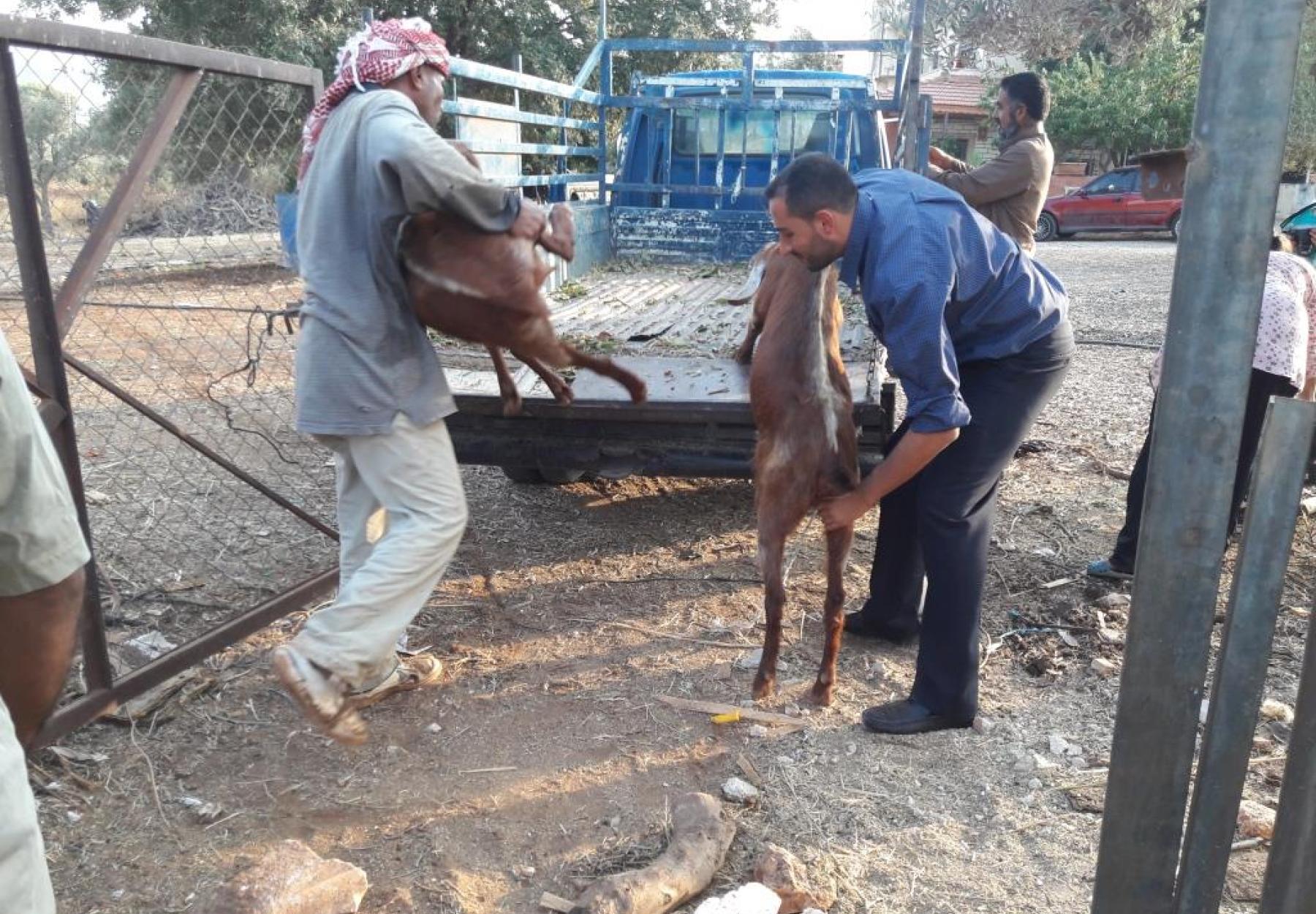 عروسان يضربان مثلاً بالنبل ويبدان حياتهما بالخير