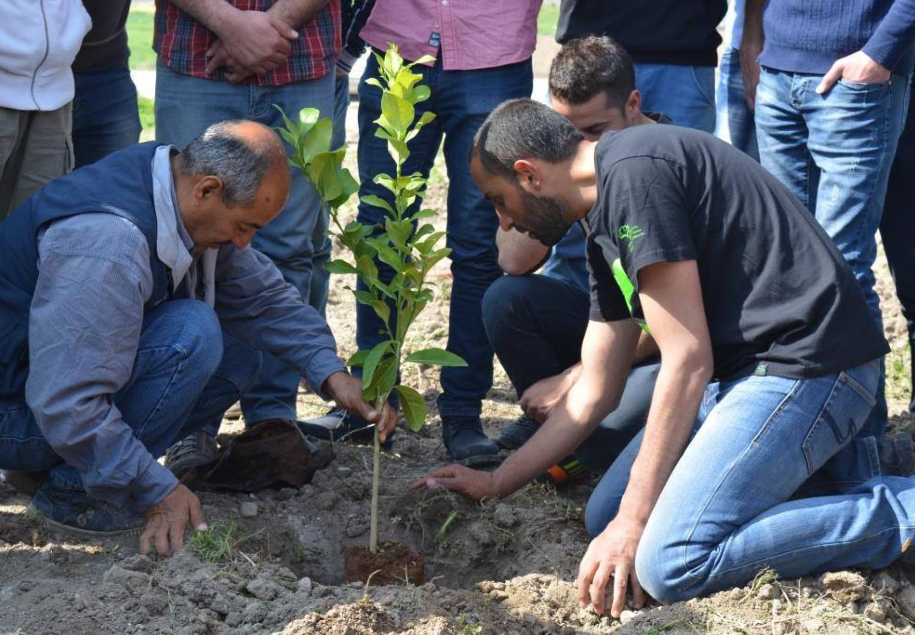 القافلة الخضراء تزرع على ضفاف نهر الاردن مع نقابة المهندسين الاردنيين