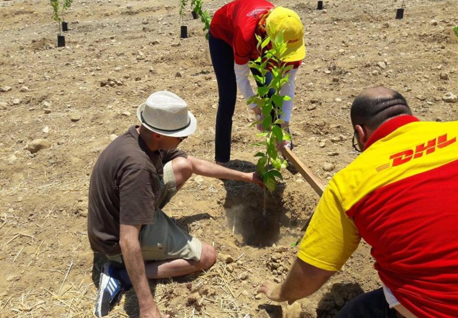 العربية لحماية الطبيعة وشركة DHL يدعمان الأمن الغذائي في الأغوار‎.