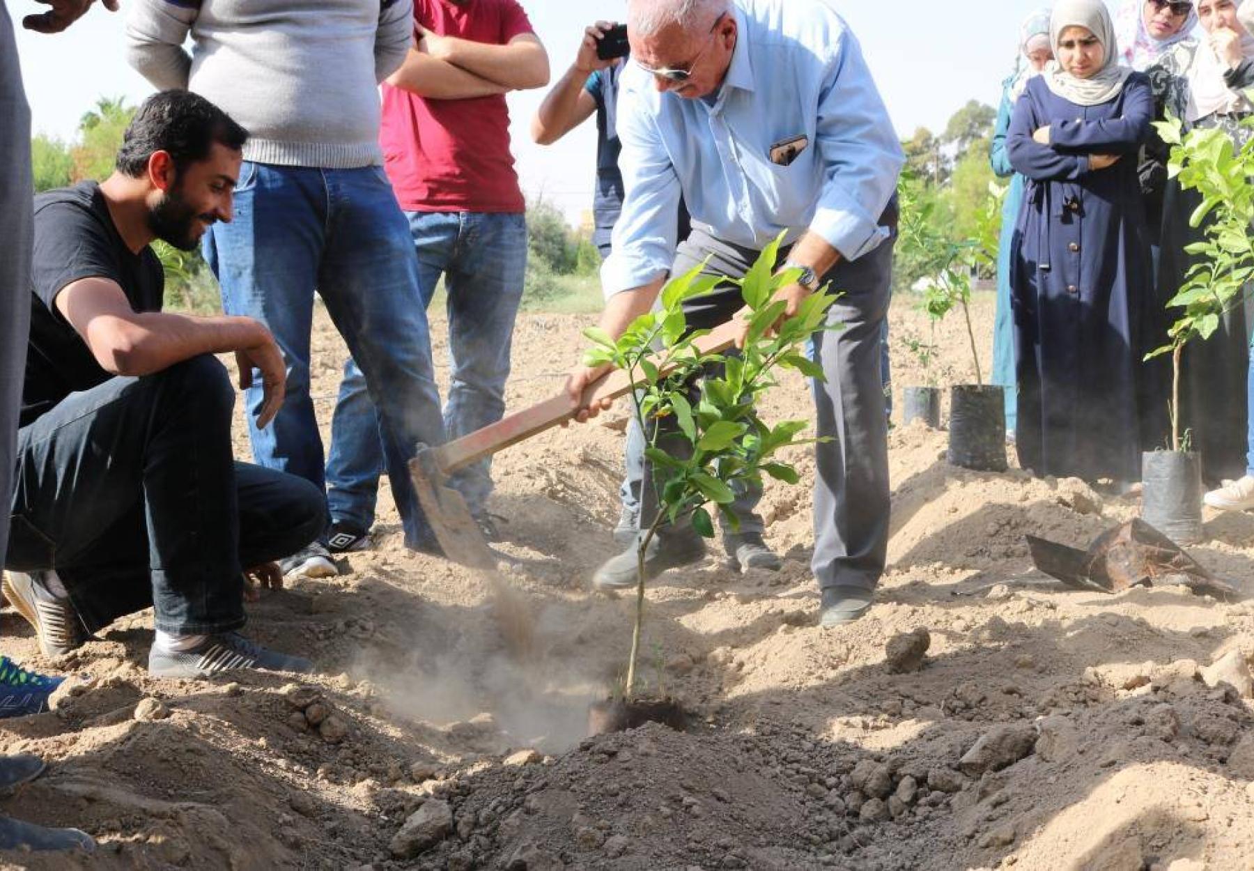 العربية ولجنة المهندسين الشباب يزرعان 400 شجرة في الأغوار الوسطى
