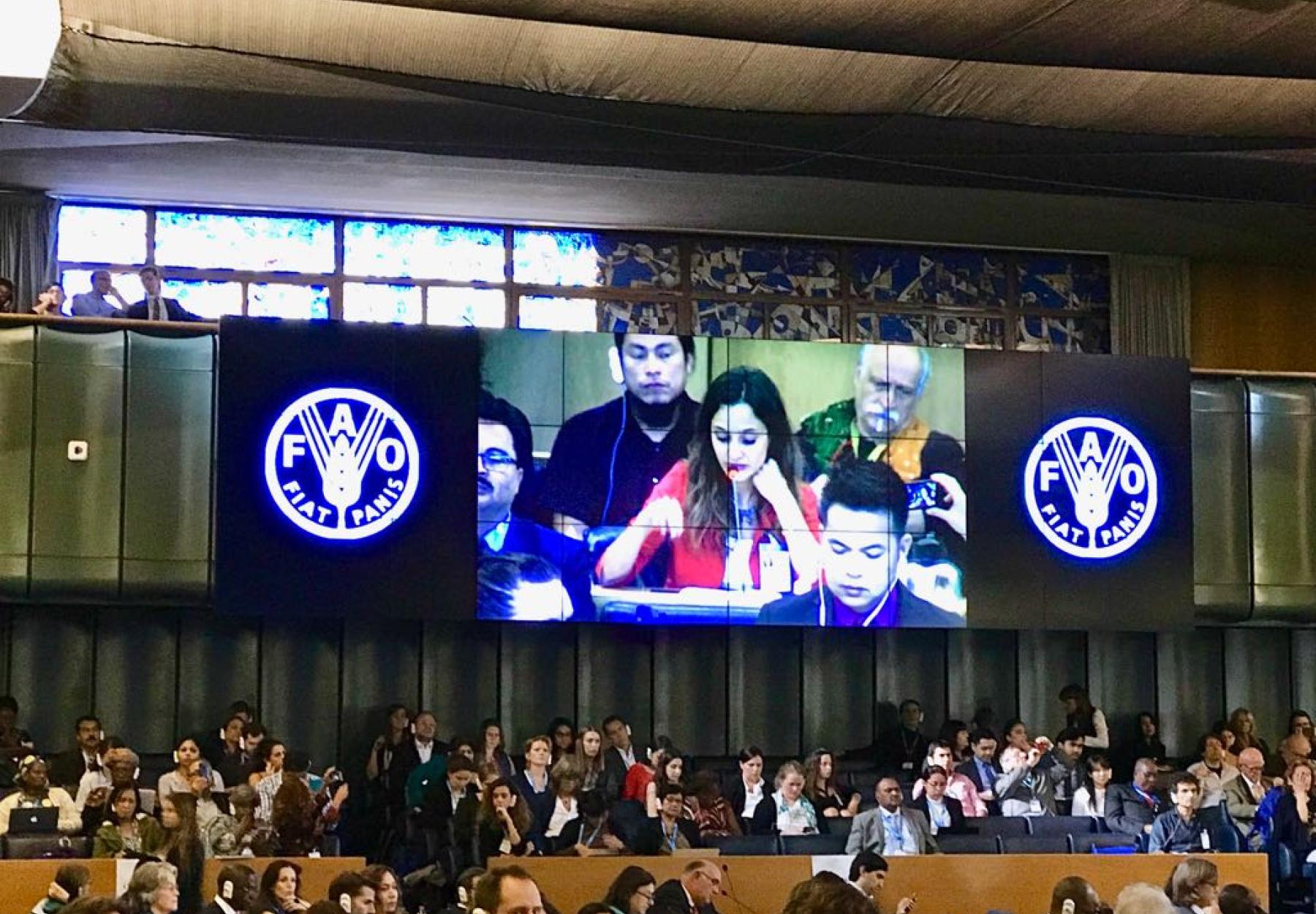 العربية لحماية الطبيعة تلقي كلمة المجتمع المدني العالمي في جلسة افتتاح الدورة الرابعة والاربعين للجنة الأمن الغذائي العالمي في روما العربية لحماية الطبيعة تلقي كلمة المجتمع المدني العالمي في جلسة افتتاح الدورة الرابعة والاربعين للجنة الأمن الغذائي العالمي في روما