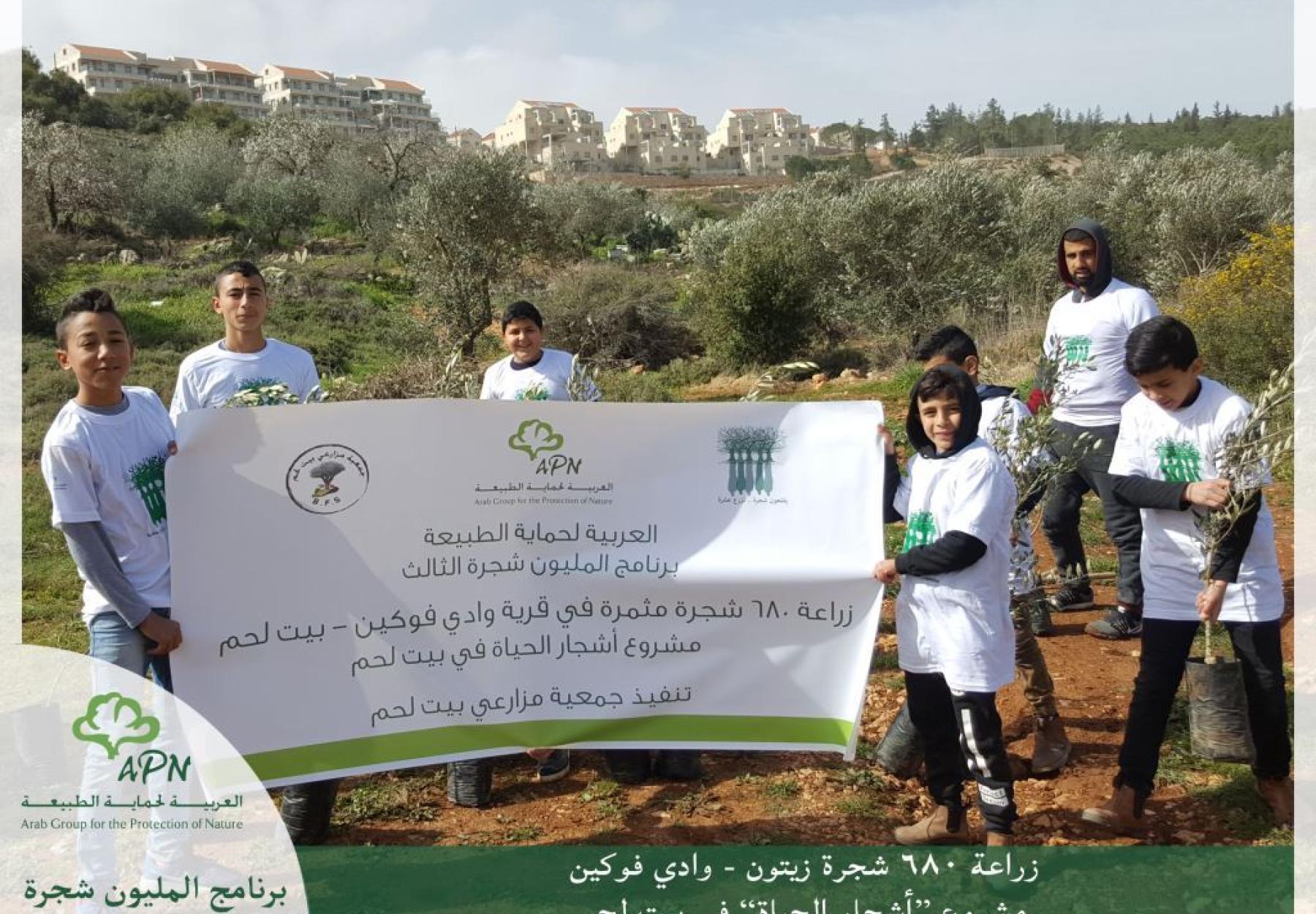 زراعة أراضي وادي فوكين ونحالين ضمن مشروع أشجار الحياة زراعة أراضي وادي فوكين ونحالين ضمن مشروع أشجار الحياة