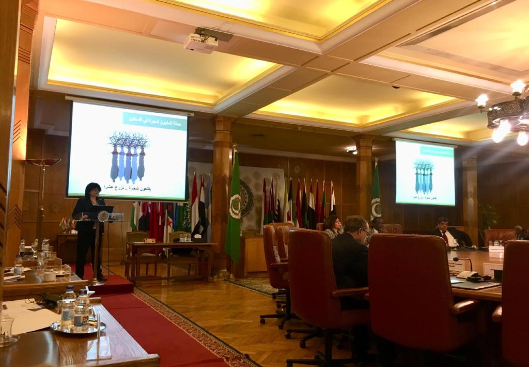 العربية تعرض المليون شجرة كقصة نجاح على الجامعة العربية في القاهرة العربية تعرض المليون شجرة كقصة نجاح على الجامعة العربية في القاهرة