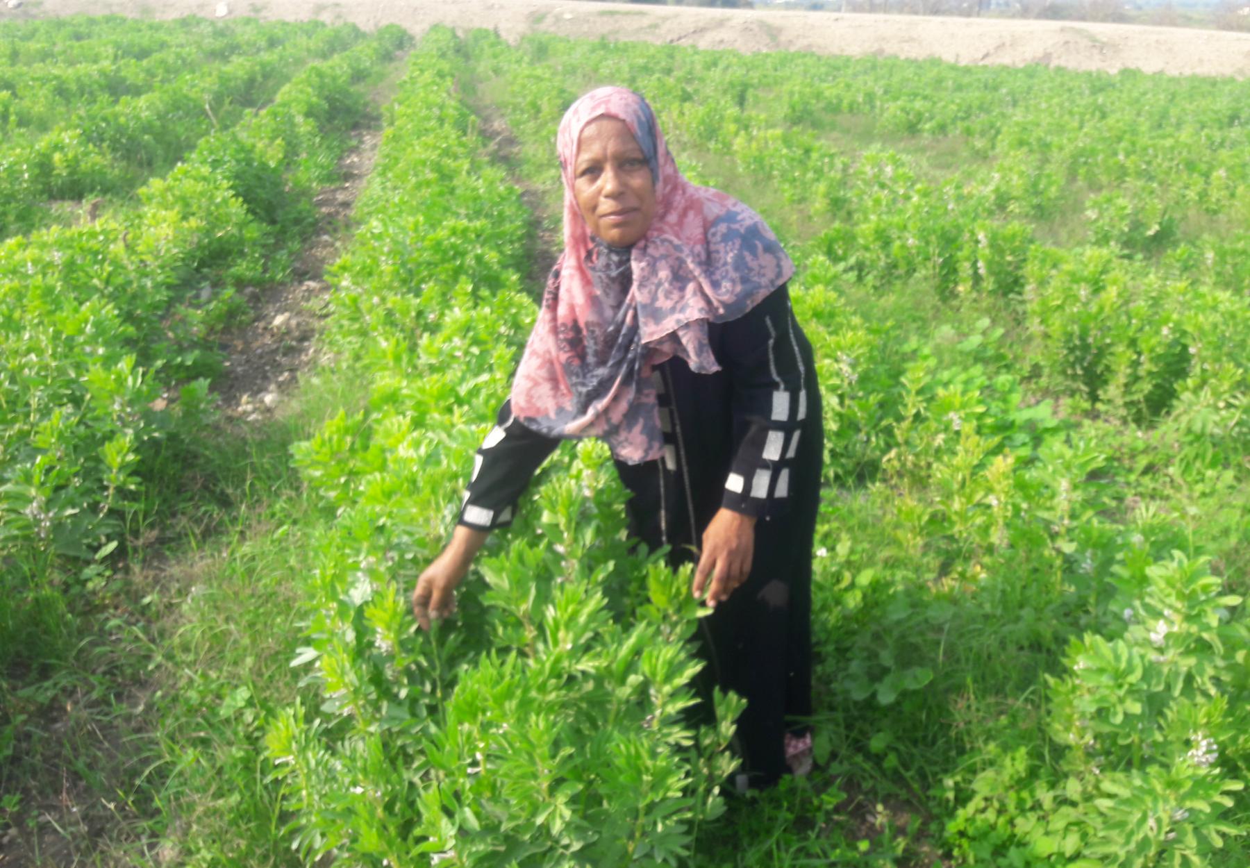 العربية لحماية الطبيعة تنجح في تمكين جمعية رحمة للأيتام وتوجد مصدر دخل مستدام لهم العربية لحماية الطبيعة تنجح في تمكين جمعية رحمة للأيتام وتوجد مصدر دخل مستدام لهم