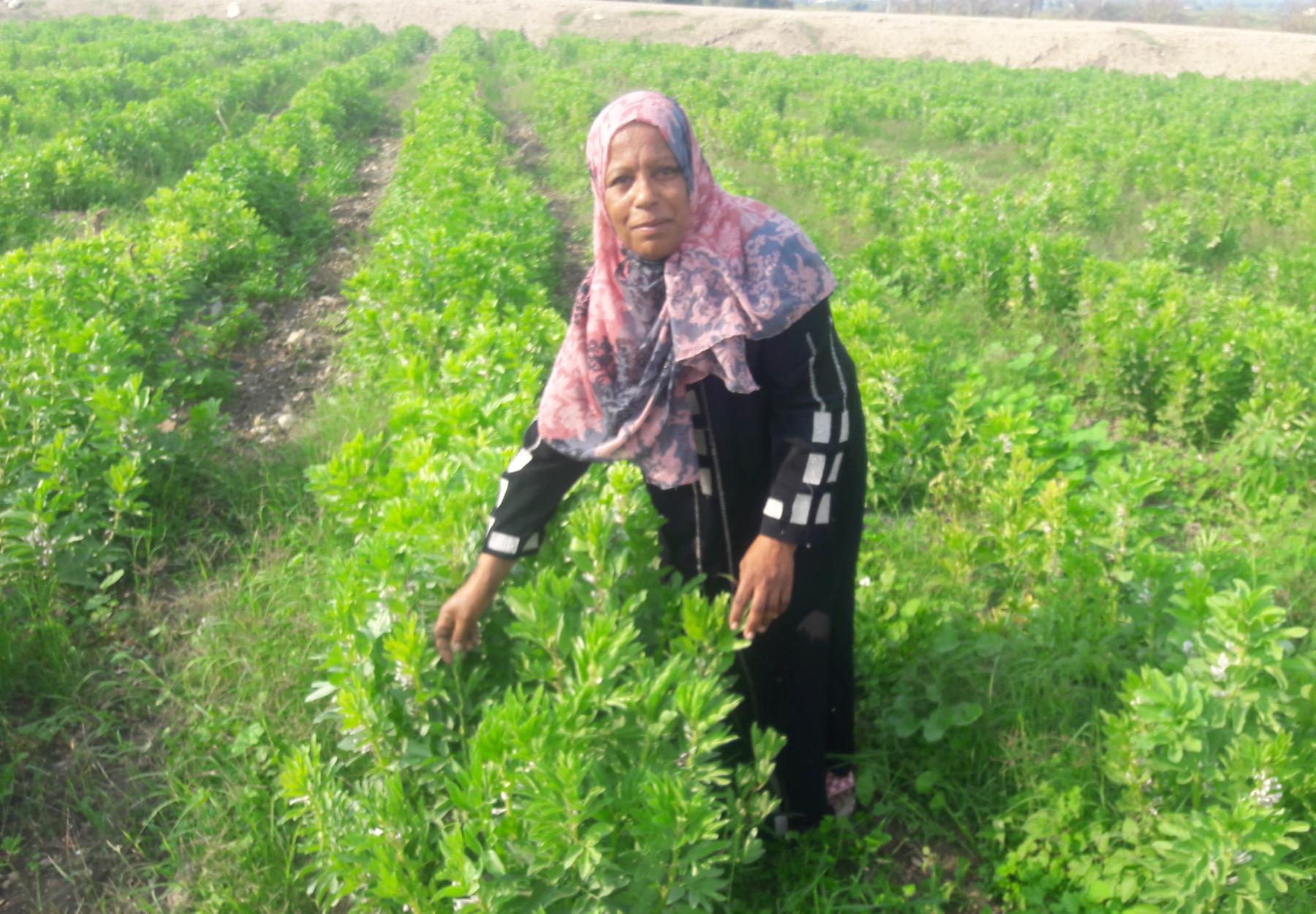 العربية لحماية الطبيعة تنجح في تمكين جمعية رحمة للأيتام وتوجد مصدر دخل مستدام لهم