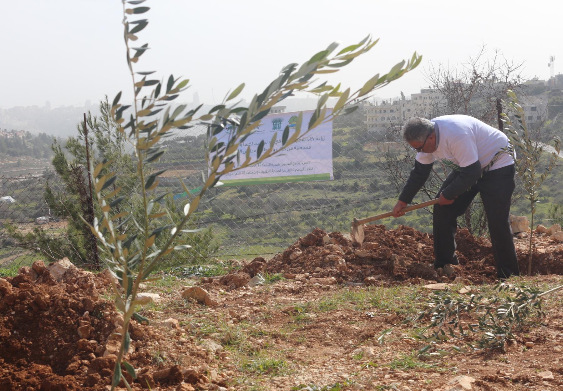 نتائج سخاء الأردنيين وتبرعاتهم..  زراعة 20 قرية وأكثر من 20 ألف شجرة مثمرة في القدس