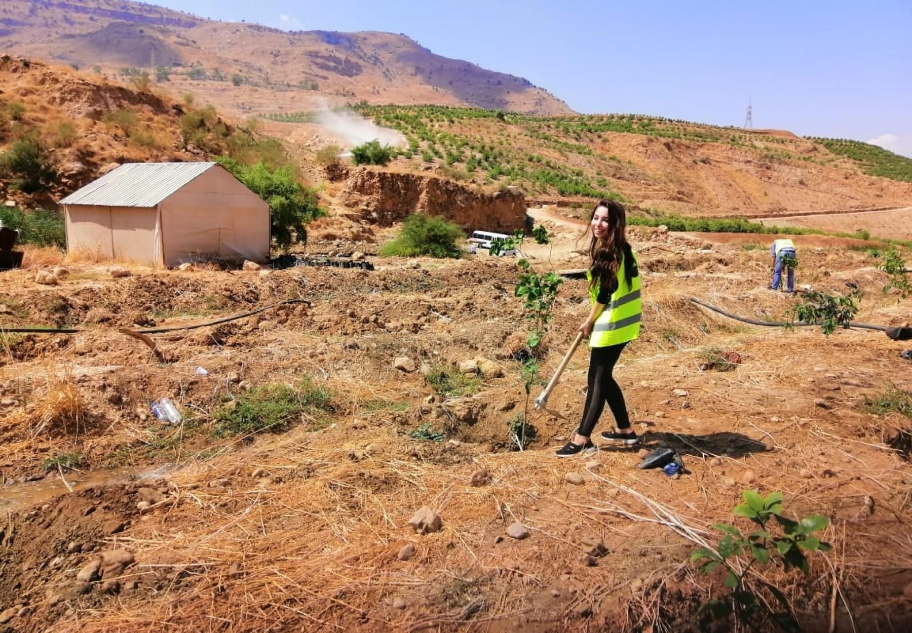 القافلة الخضراء تواصل سيرها وتزرع ١٠٠ شجرة في السلط بدعم من البنك الأهلي