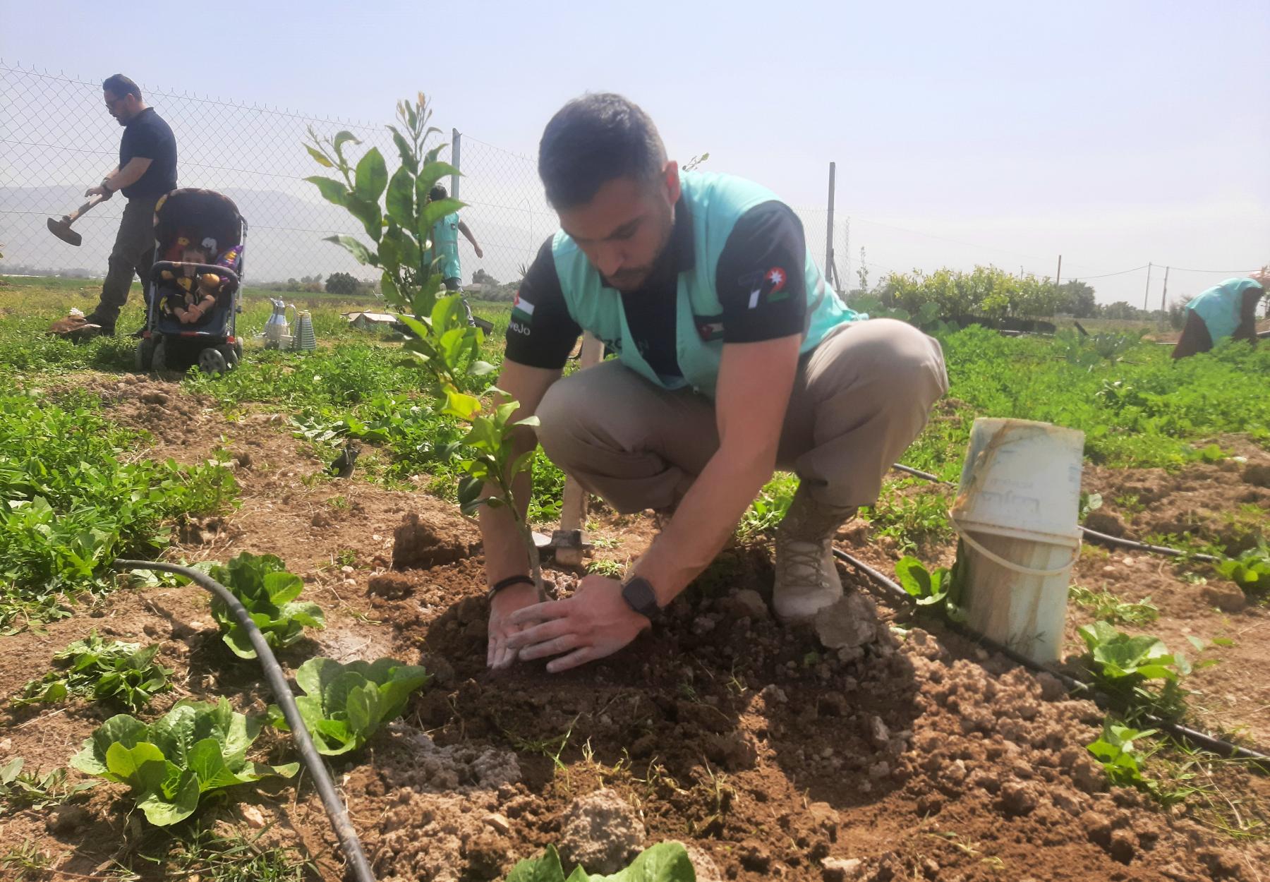 العربية لحماية الطبيعة تزرع 270 شجرة مثمرة مع شركة زين العربية لحماية الطبيعة تزرع 270 شجرة مثمرة مع شركة زين