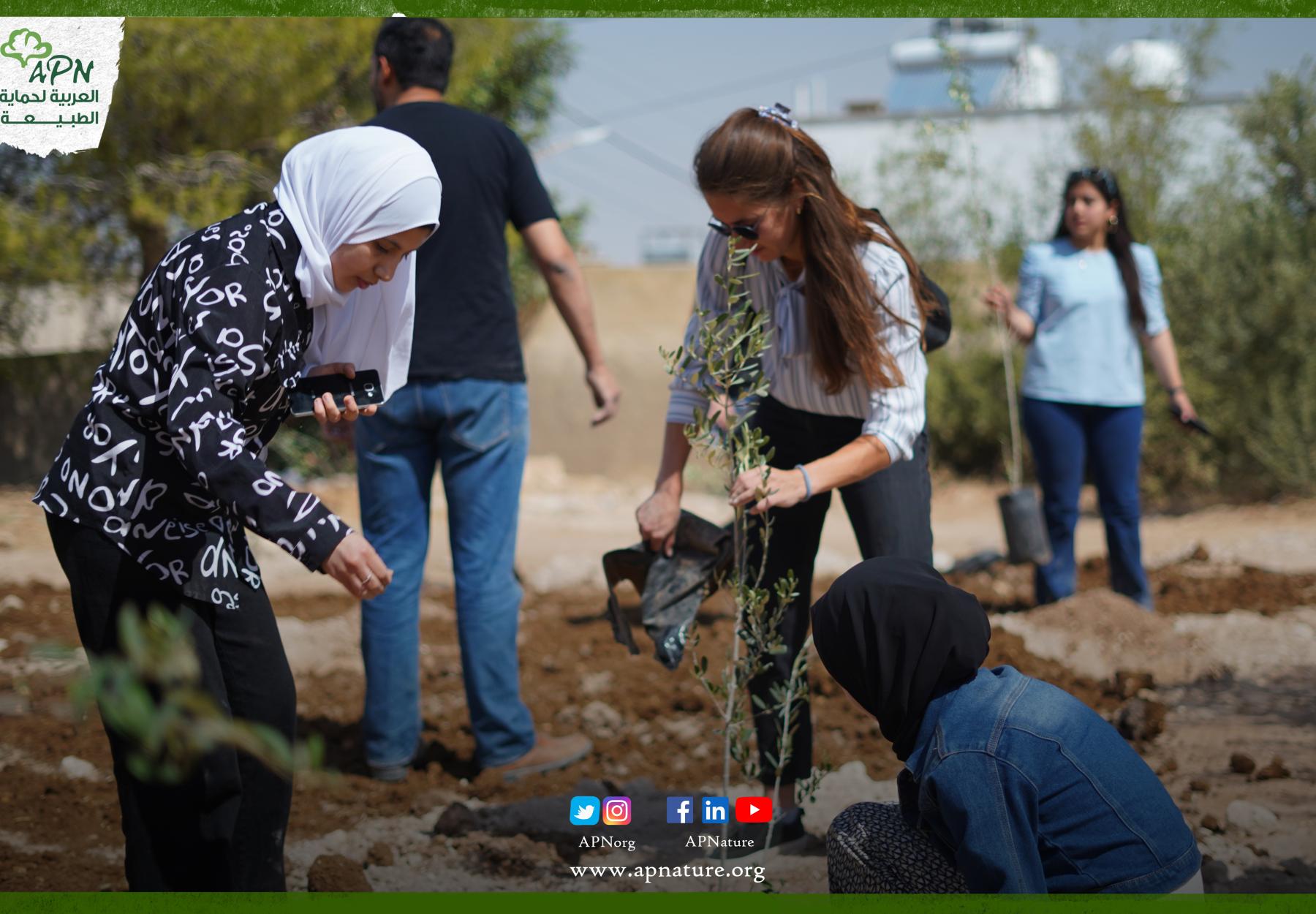 العربية لحماية الطبيعة تزرع شجر زيتون مع مبادرة مدرستي وبرفقة طالبات مدرسة الأميرة بسمة