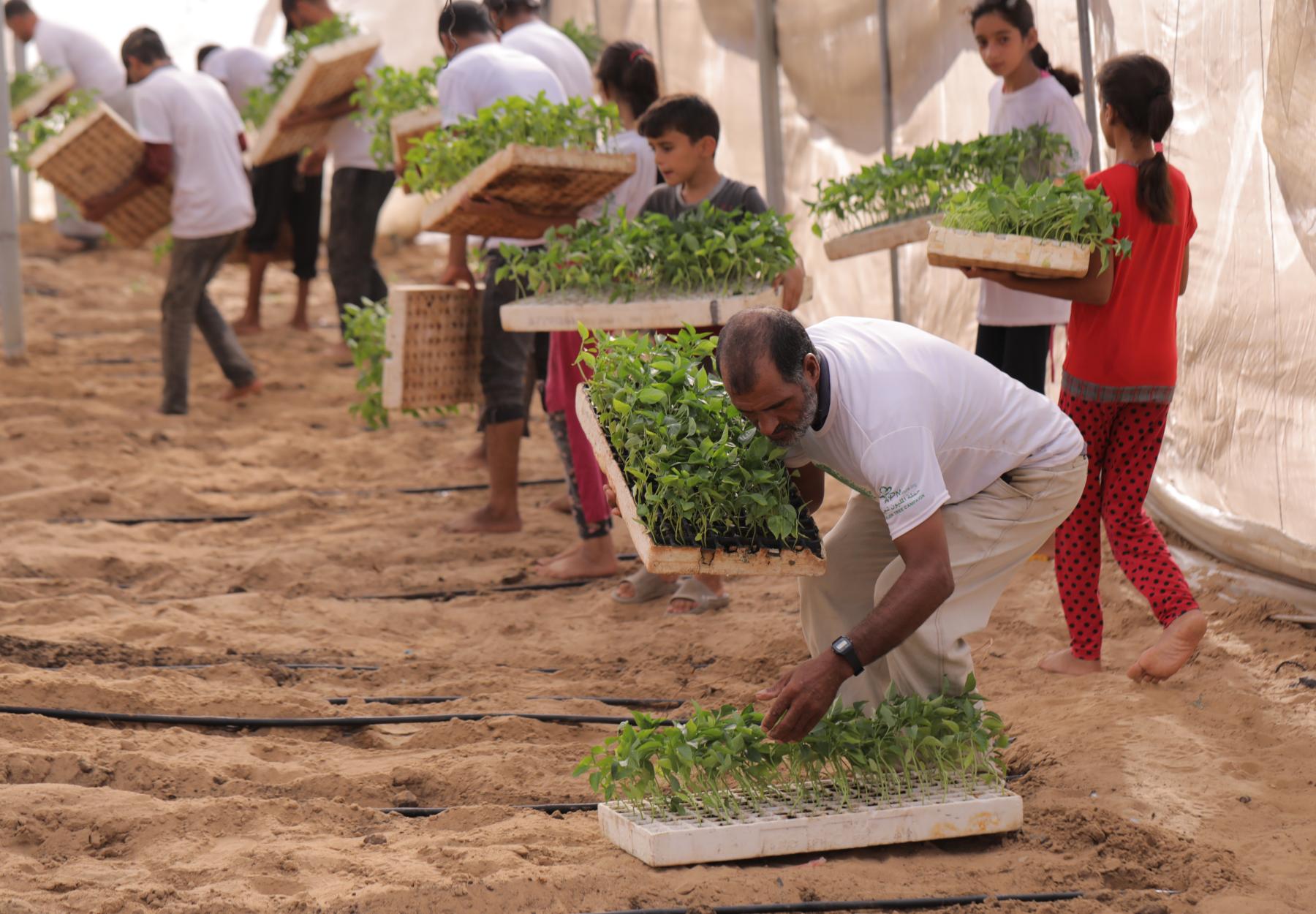 العربية لحماية الطبيعة 