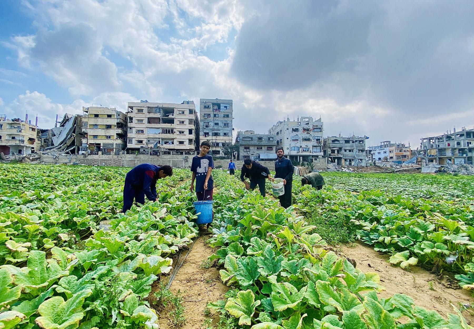 العربية لحماية الطبيعة 