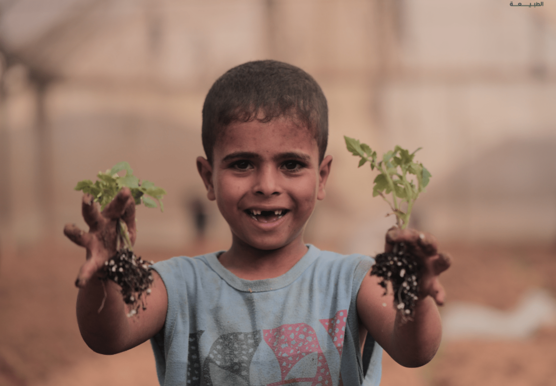 العربية لحماية الطبيعة 
