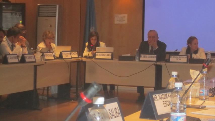 مؤتمر فريق الخبراء حول سلسلة الانشطة الزراعية الخضراء المضيفة للقيمة