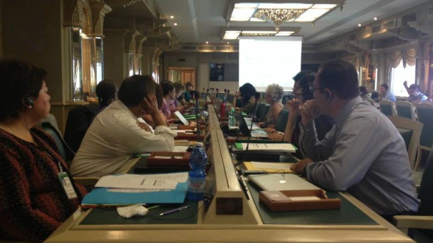 APN at the Coordinating Committee Meeting of the International Civil Society Mechanism