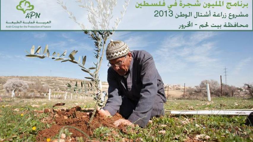 Million Tree Campaign in Palestine
