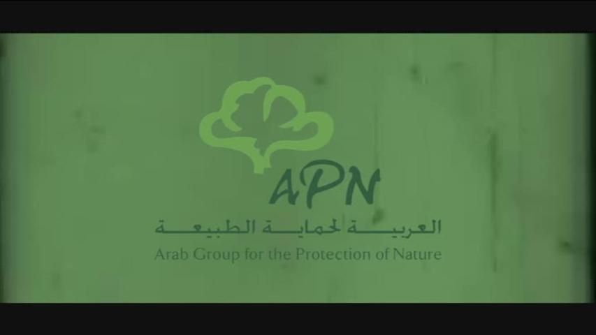 A New Film that Celebrates Ten Years of APN Programs