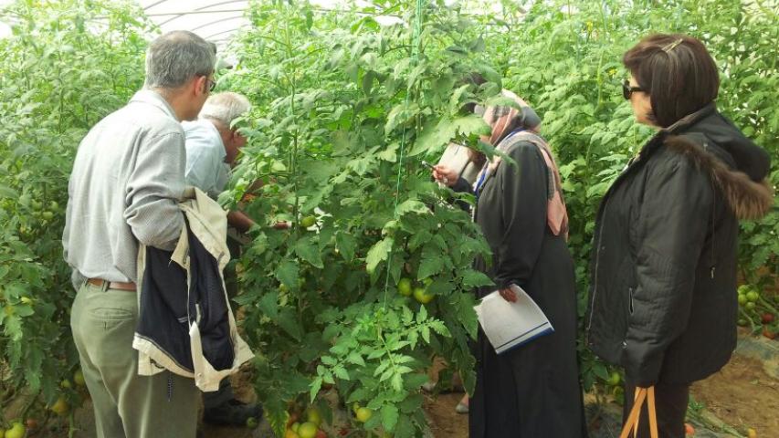 وفد العربية يتقصى الحقائق في مزارع مونسانتو