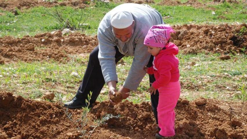 العربية تستعد للإحتفال بإنجاز زراعة المليون الثاني