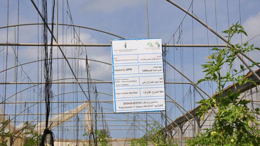 تأهيل 50 بيت بلاستيكي في قطاع غزة