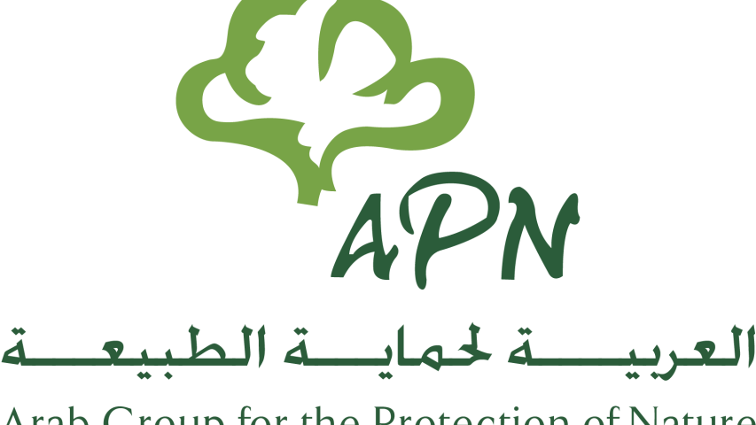 اطلالات إعلامية