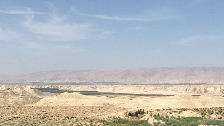 حملة العربية وشركاؤها لتقصي الحقائق تكشف عن مبيدات محظورة مصدرة للأردن من قبل الكيان الصهيوني