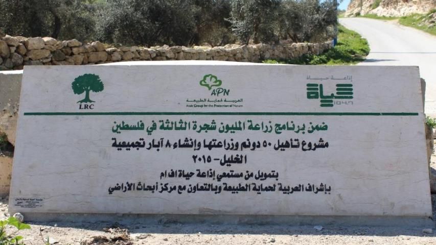 إستصلاح 50 دونماً وإنشاء 8 آبار وزراعة 2500 شجرة زيتون في الخليل