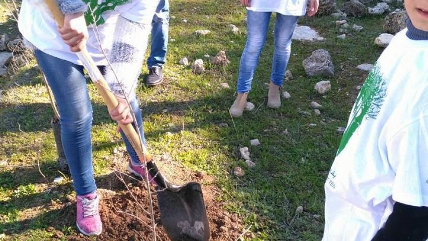 المليون شجرة يقف مع "أمهات الوطن" ويزرع قرية إسكاكا في محافظة سلفيت