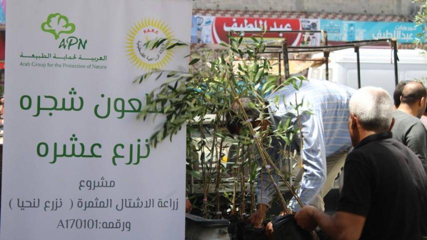 العربية لحماية الطبيعة تحيي وتزرع 15,000 شجرة مثمرة جديدة في قطاع غزة