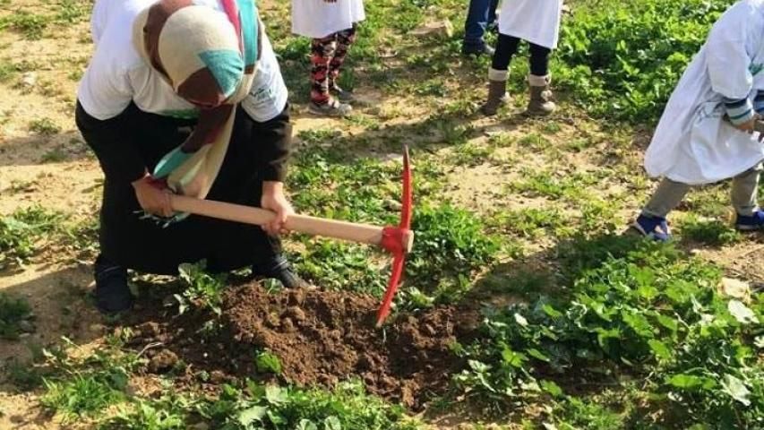 مشروع "امهات الوطن" يستمر في قرية ياسوف و يزرع 1,600 شجرة مثمرة - سلفيت