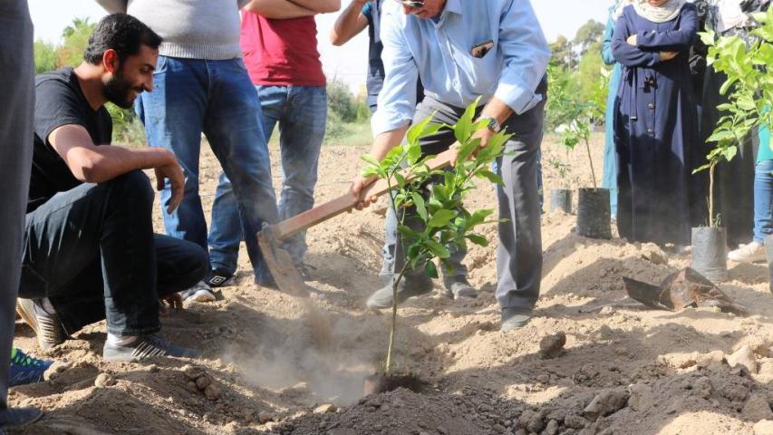 العربية ولجنة المهندسين الشباب يزرعان 400 شجرة في الأغوار الوسطى