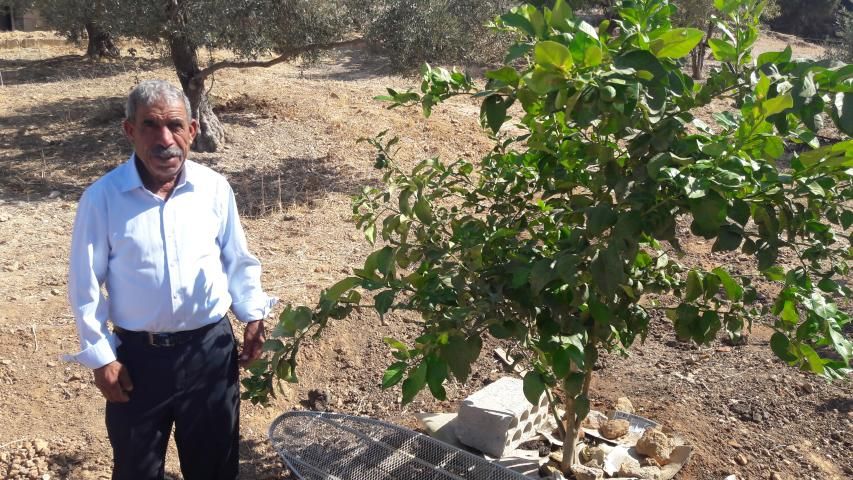 بعد عام من مبادرة "حاكورة بيوضة" أهالي بيوضة يقتربون من الاكتفاء الذاتي