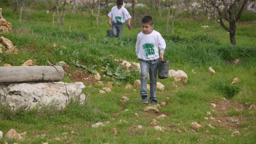 العربية تزرع 2,000 شجرة مثمرة جديدة في قرية جبع - القدس