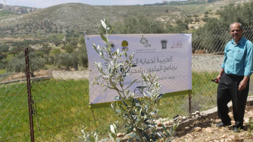إحياء أراضي قريتي السواحرة وبيت حنينا وزراعتها بالأشجار المثمرة