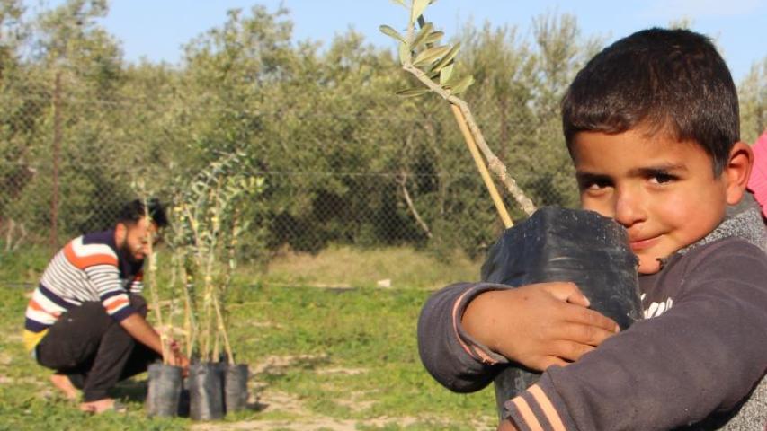 مشروع دعم العائلات المدارة نسائياً في قطاع غزة