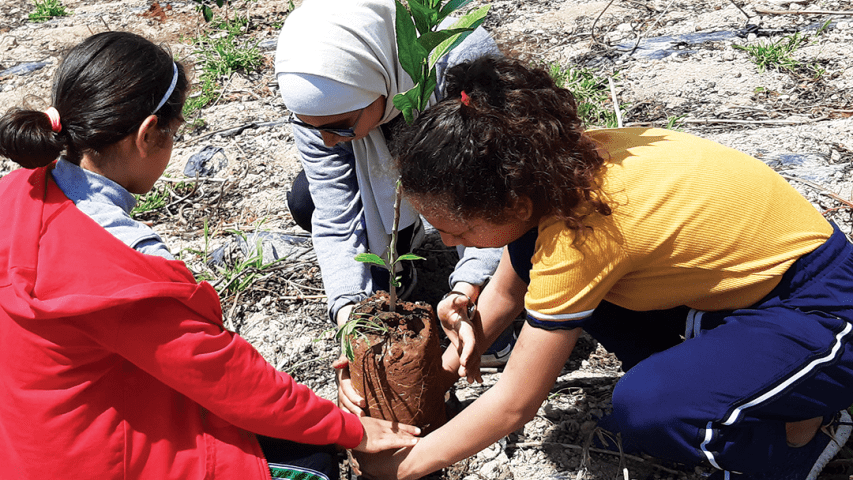 العربية لحماية الطبيعة تعزز الأمن الغذائي لـ 90 أسرة في الأغوار الجنوبية