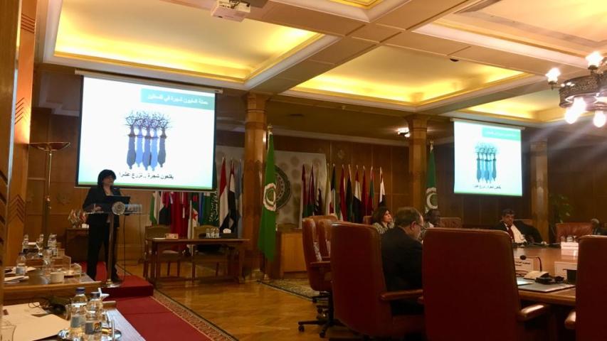 العربية تعرض المليون شجرة كقصة نجاح على الجامعة العربية في القاهرة