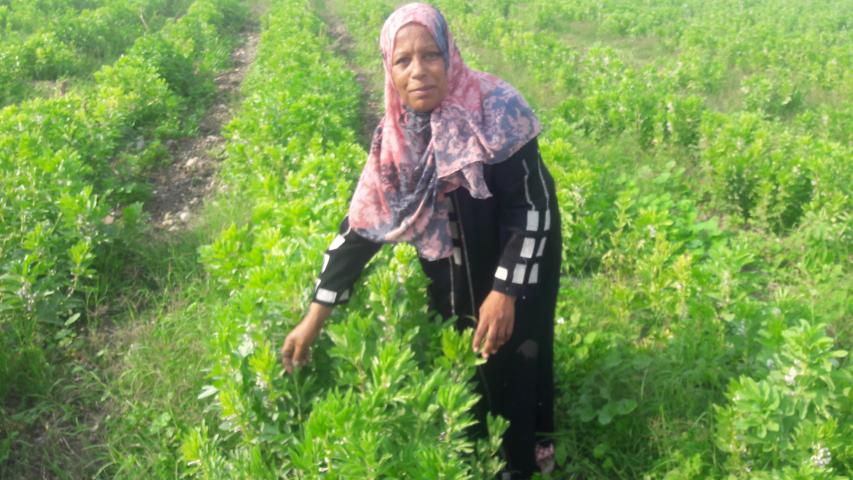 العربية لحماية الطبيعة تنجح في تمكين جمعية رحمة للأيتام وتوجد مصدر دخل مستدام لهم